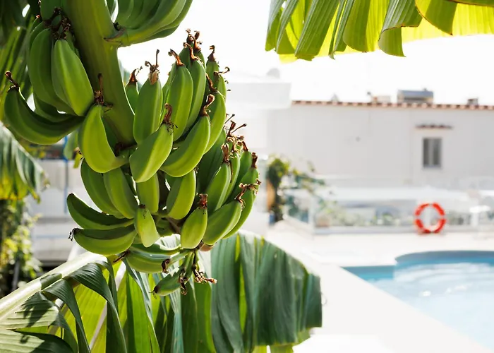 Bussola Hotel Anacapri (Isola di Capri)