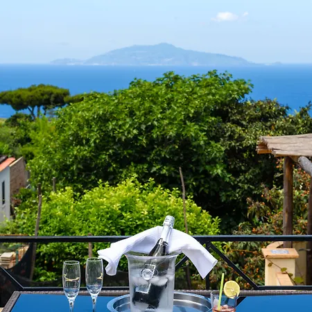 布索拉酒店 酒店 阿纳卡普里