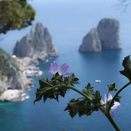 布索拉酒店 酒店