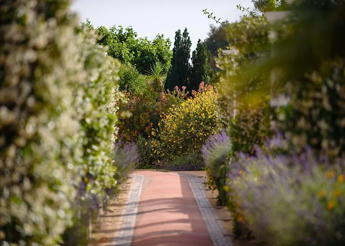布索拉酒店 阿纳卡普里